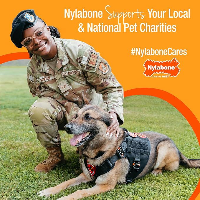 Nylabone Healthy Edibles WILD Natural Dog Chew Treats - Image 7