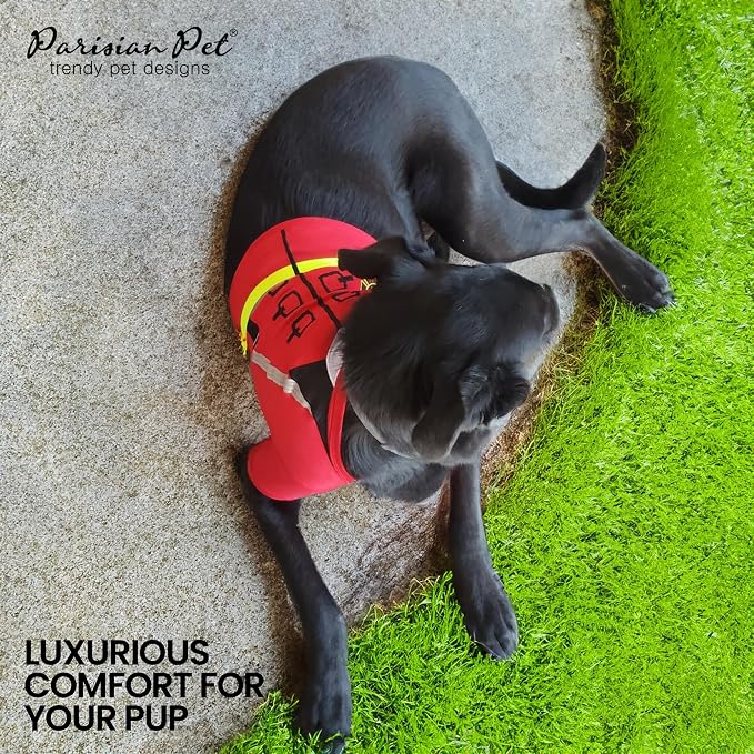 Parisian Pet Dog Costume - Image 5
