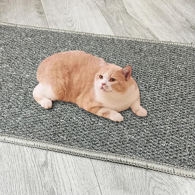 70.9"x 15.7" Thickened Extra Large Cat Wall Climbing Carpet - Image 6