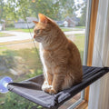 Cat Window Perch by PETMAKER