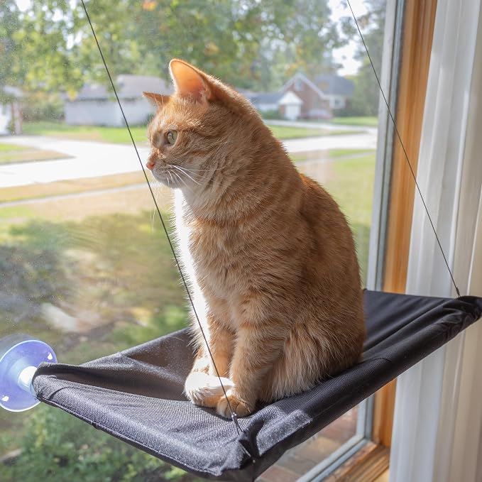 Cat Window Perch by PETMAKER