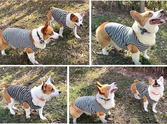 Koneseve Dog Shirt Vest Lightweight Stretchy Dog T-Shirts Soft Cool Sleeveless - Image 8