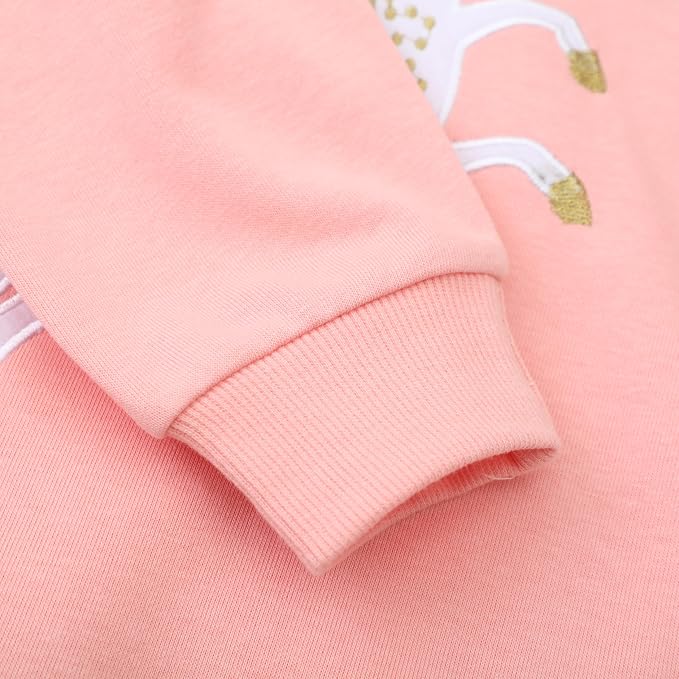 RETSUGO Toddler Baby Girls Sweatshirts Casual Pullover Crewneck Winter Long - Image 5