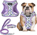 GAMUDA Small Dog Harness Collar and Leash Set, Step in No Chock No Pull Soft by GAMUDACollarsCollection