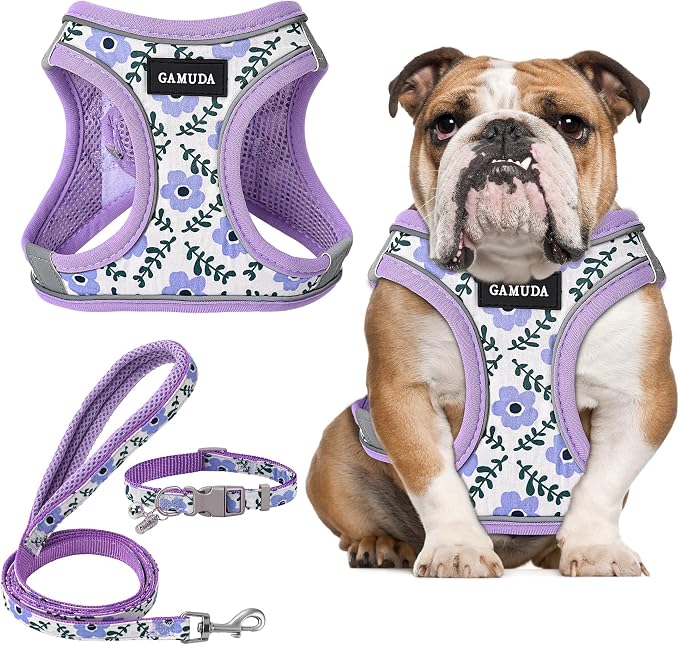 GAMUDA Small Dog Harness Collar and Leash Set, Step in No Chock No Pull Soft by GAMUDACollarsCollection