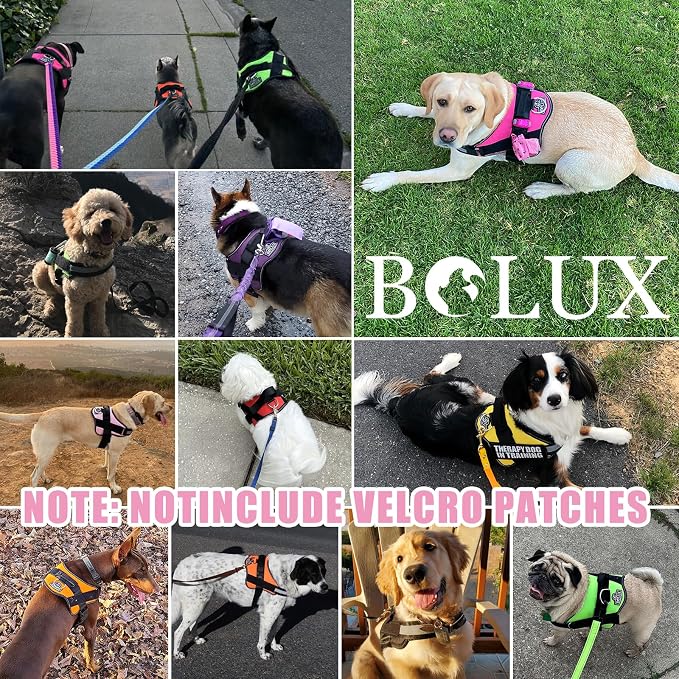 Bolux Dog Harness, No-Pull Reflective Dog Vest, Breathable Adjustable Pet - Image 6
