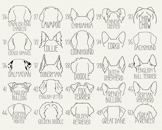 Custom Dog Ears Sweatshirt Personalized Dog Mom Sweatshirt Women Gifts Puppy - Image 5