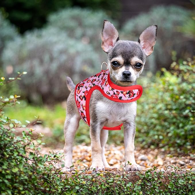 Mile High Life Velcro Dog Harness, Air Mesh Floral Vest Harness - Image 5