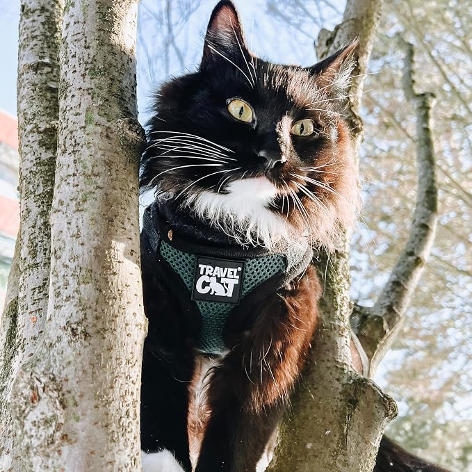 Travel Cat The Emerald Explorer Limited Edition Green Harness and Leash Set - Image 2
