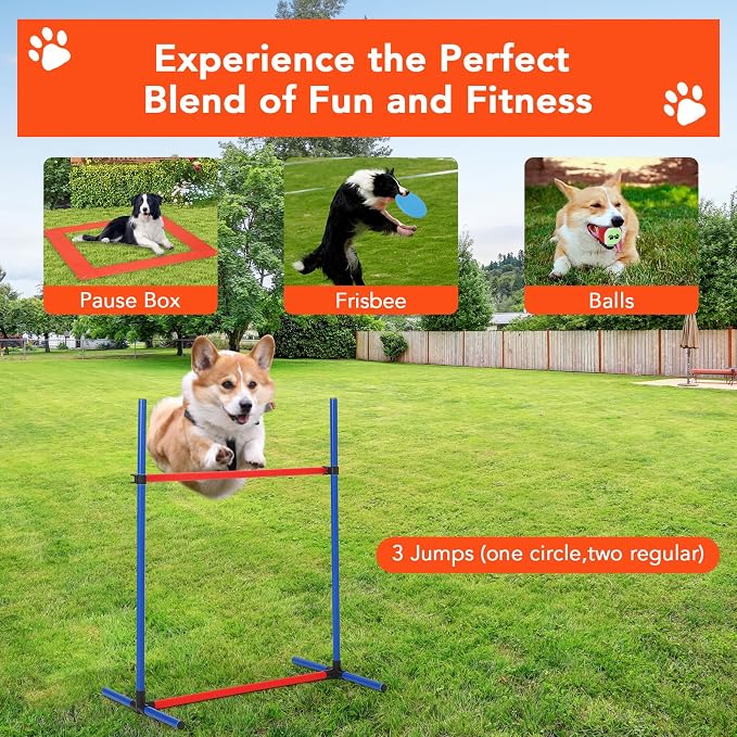 Portable Dog Agility Equipment - Image 7