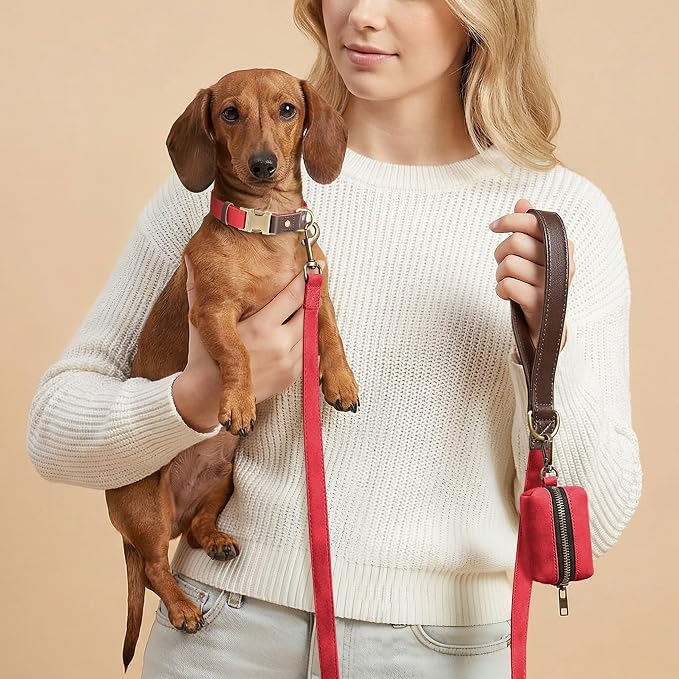 Didog Soft PU Leather Dog Collars - Image 4