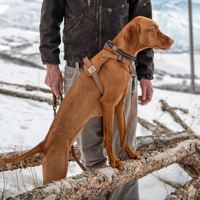 Carhartt Nylon Duck No Pull Dog Harness, Fully Adjustable Dog Harness - Image 5