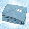 PetAmi Premium Cooling Dog Blanket | Lightweight Fluffy Pet Throw Blanket Bed by PetAmi