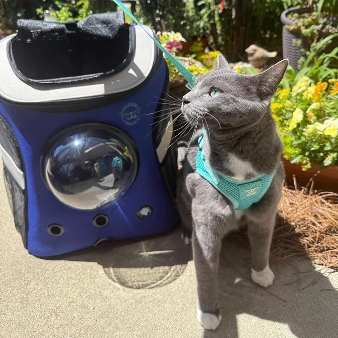Travel Cat x Jackson Galaxy Harness and Leash Set - Image 9