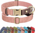 Didog Soft PU Leather Dog Collar by Didog