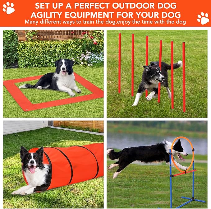 Portable Dog Agility Equipment - Image 6