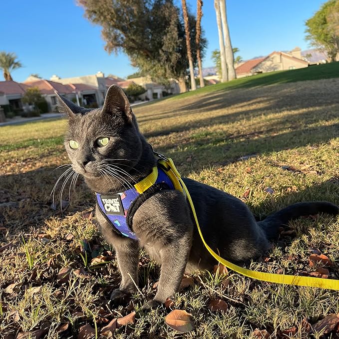 Travel Cat Harness and Leash Set - Image 9