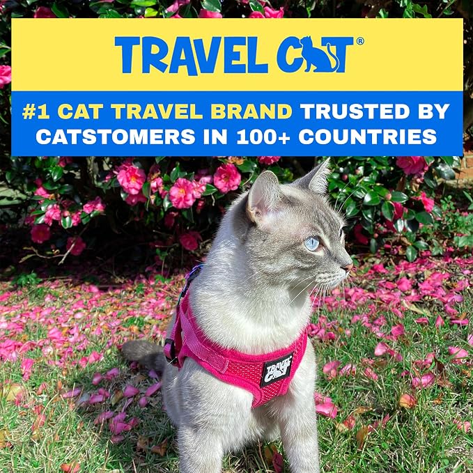 Travel Cat Harness and Leash Set - Image 5