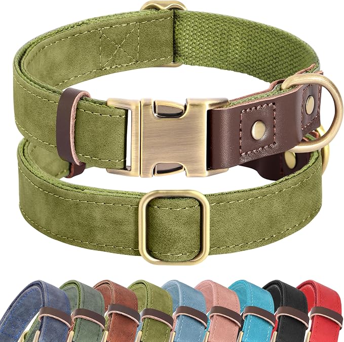 Didog Soft PU Leather Dog Collar by Didog
