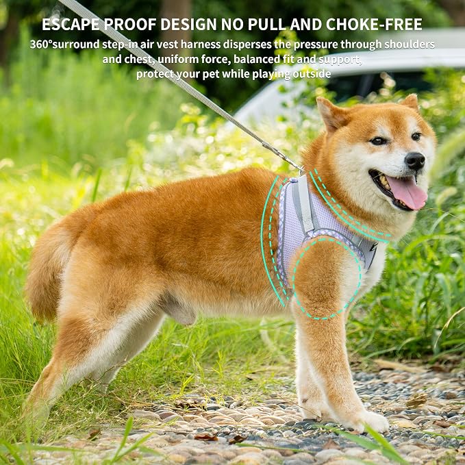 AIITLE Escape-Proof Dog Harness - Image 3