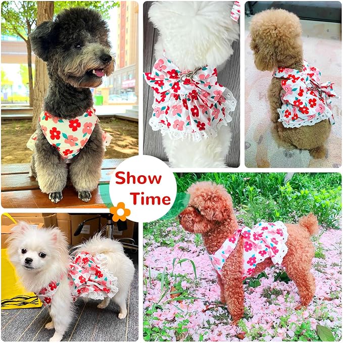 Dog Harness Dress Leash Set for Small Dog Summer Clothes Girl Female Puppy Cats - Image 2