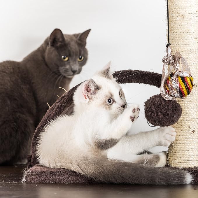 35in Cat Tree with Climb-Up Ladder, Cat Condo, 3 Sisal Rope Cat Scratching Posts - Image 6