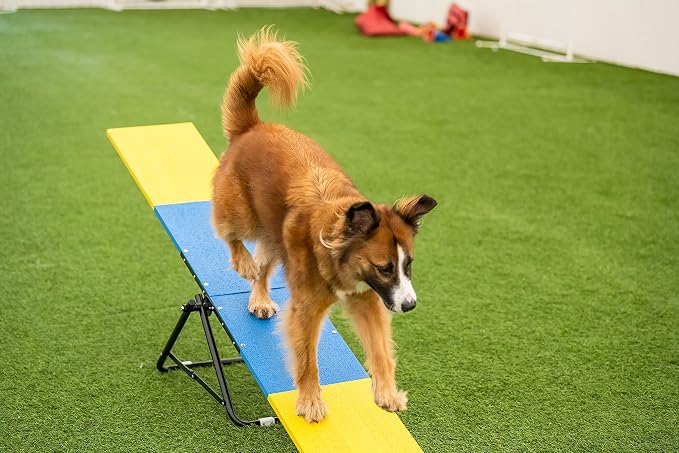 Better Sporting Dogs Practice See Saw | Dog Agility Teeter | Dog Agility - Image 6