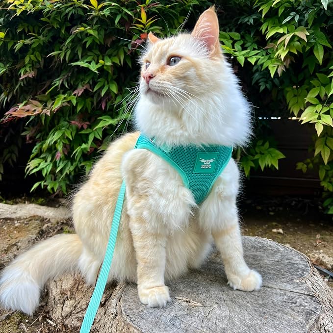 Travel Cat x Jackson Galaxy Harness and Leash Set - Image 8