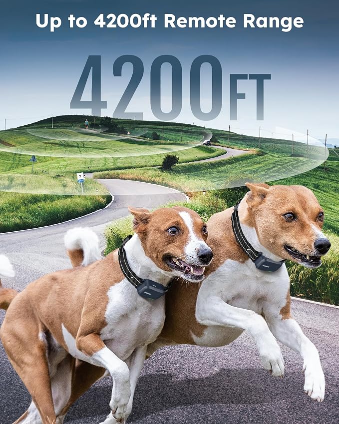 Jugbow Shock Collar for 2 Dogs - 4200FT Dog Training Collar - Image 3