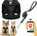Dog Harness with Airtag Holder for Small Dogs, Cats by JVVGPET