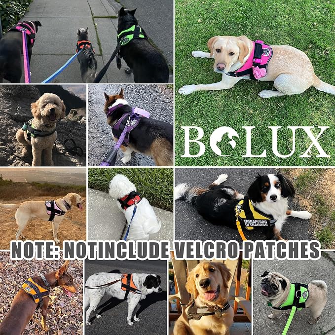 Bolux Dog Harness, No-Pull Reflective Dog Vest, Breathable Adjustable Pet - Image 7