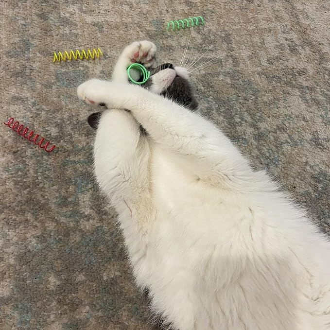 SPOT Colorful Springs Cat Toys – 3" Bouncy Coils - Image 3