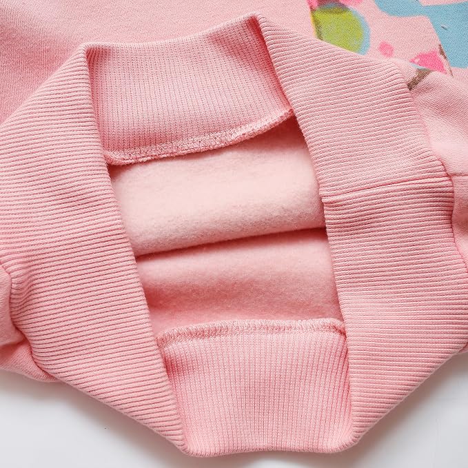 RETSUGO Toddler Baby Girls Sweatshirts Casual Pullover Crewneck Winter Long - Image 6