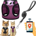 Dog Harness with Airtag Holder for Small Dogs, Cats by JVVGPET