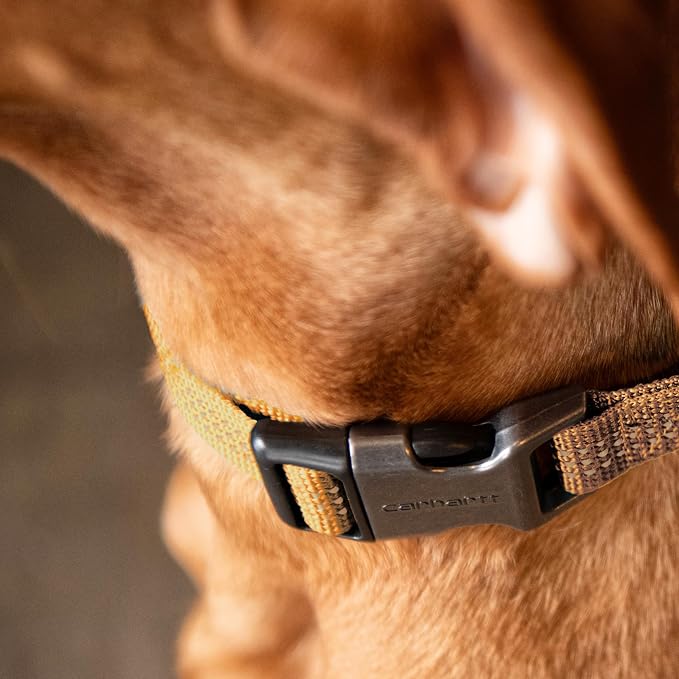 Carhartt Nylon Webbing Dog Collar, Fully Adjustable W/Durable Side Release - Image 5