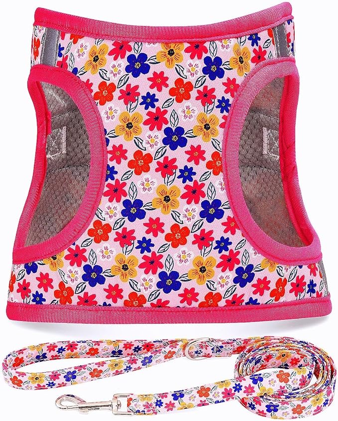 Moonpet Step in Dog Harness Leash Set- All Weather Reflective No-Pull Floral by MOONPET