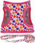 Moonpet Step in Dog Harness Leash Set- All Weather Reflective No-Pull Floral by MOONPET
