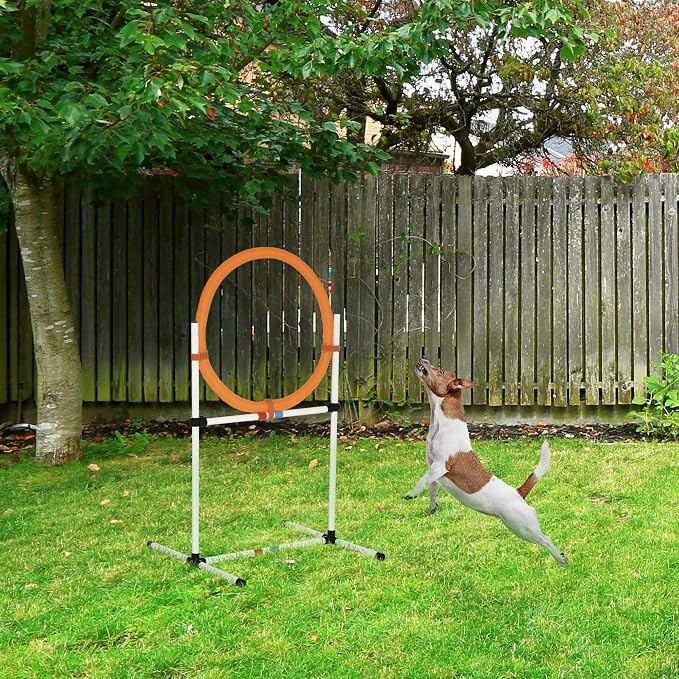 2-in-1 Adjustable Dog Agility Jumps - Image 7