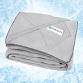 PetAmi Premium Cooling Dog Blanket | Lightweight Fluffy Pet Throw Blanket Bed by PetAmi