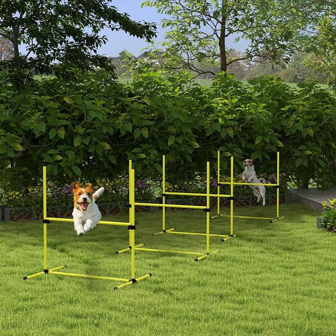 4 Piece Adjustable Dog Agility Jump Set Training Kit - Image 9