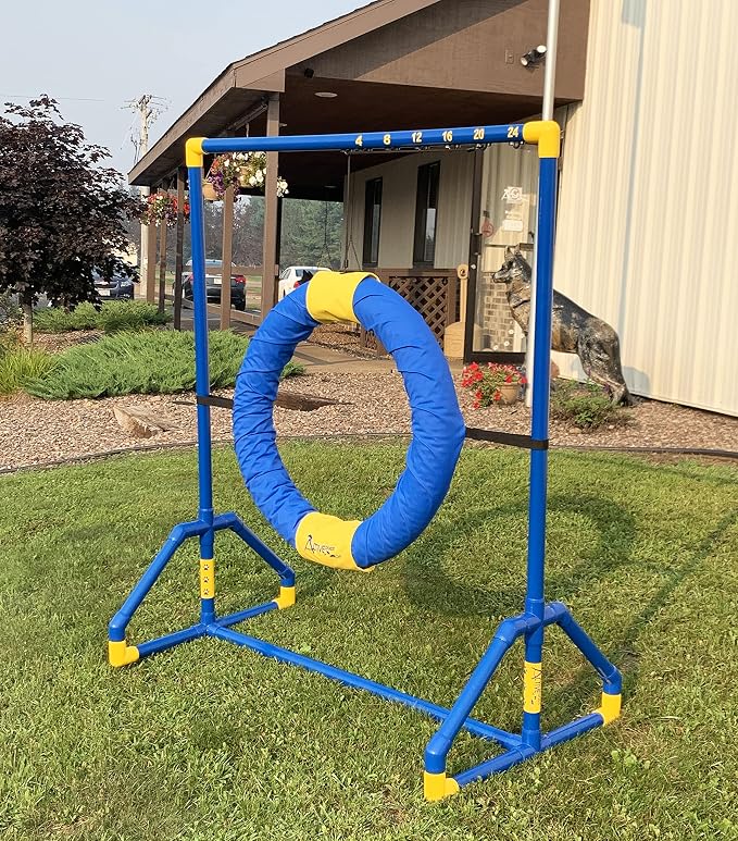 ActiveDogs Endurance Agility Agility Competition Tire Jump PVC Frame - Image 8