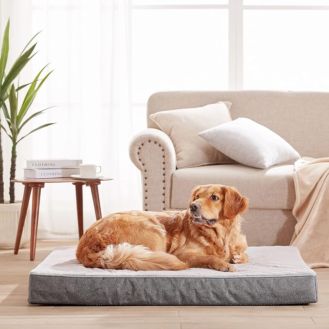 Orthopedic Memory Foam Dog Bed, Cooling Dog Beds - Image 2