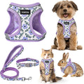 GAMUDA Small Dog Harness Collar and Leash Set, Step in No Chock No Pull Soft by GAMUDACollarsCollection