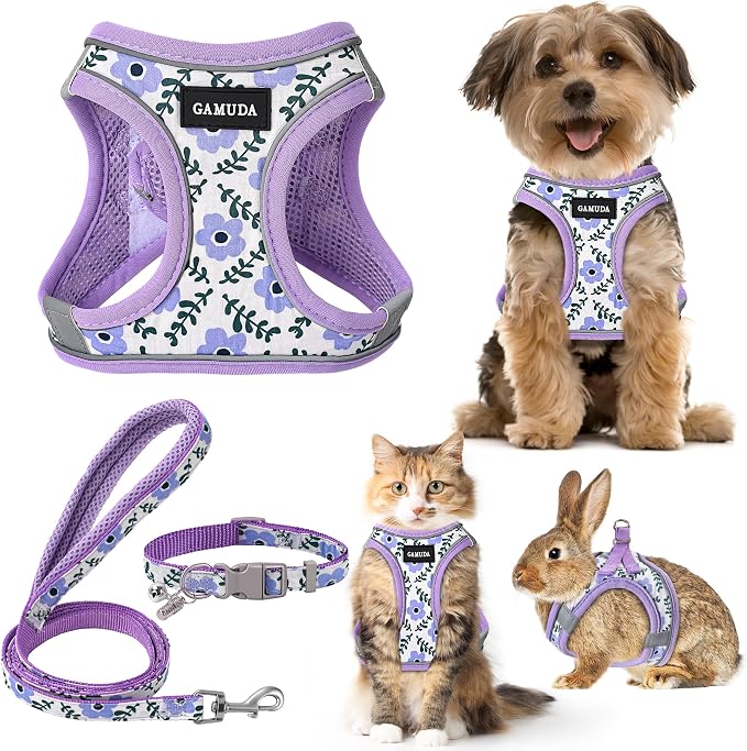 GAMUDA Small Dog Harness Collar and Leash Set, Step in No Chock No Pull Soft by GAMUDACollarsCollection