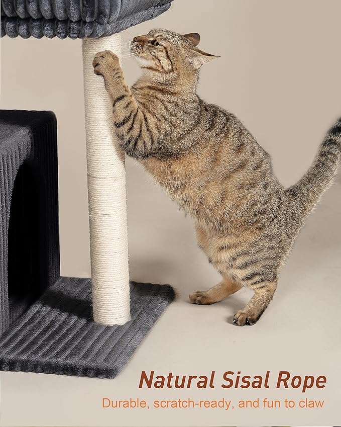 Cat Tree for Large Cat, 20.9 * 15.7in Large Perch Bed for Adult Cats, 22.8in - Image 5