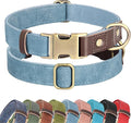 Didog Soft PU Leather Dog Collars by Didog
