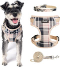 PUPTECK Small Dog Harness and Leash Set, No Pull Adjustable Puppy Cat Harness by PUPTECK