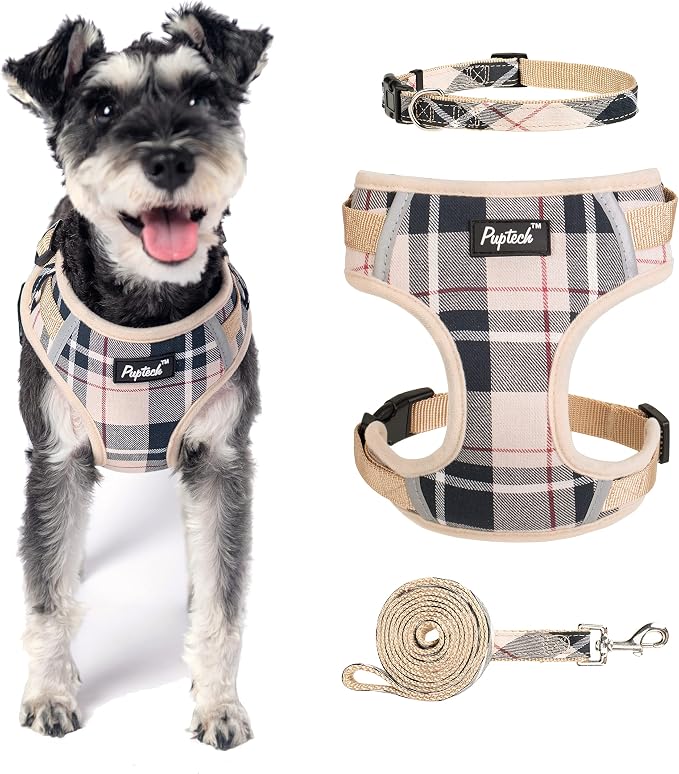 PUPTECK Small Dog Harness and Leash Set, No Pull Adjustable Puppy Cat Harness by PUPTECK