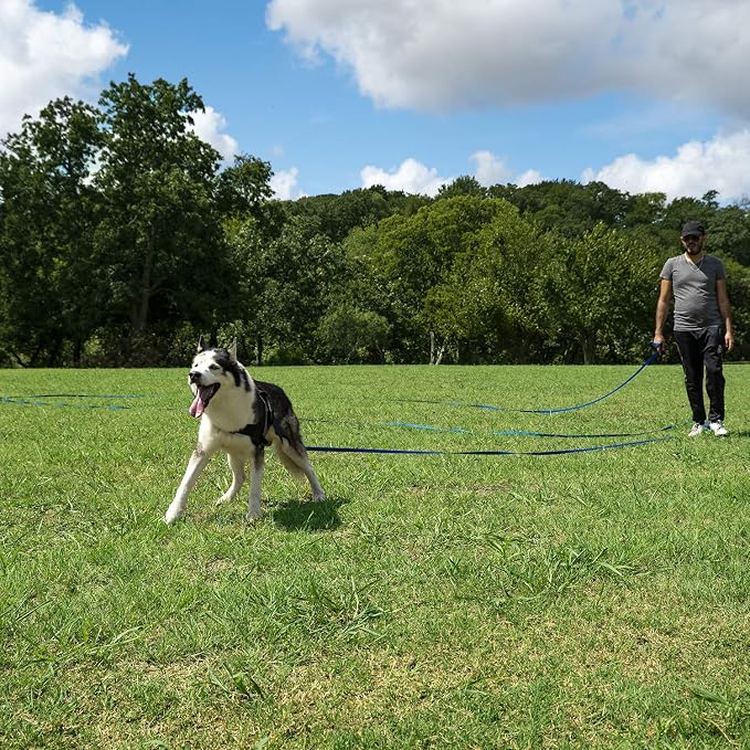 Hi Kiss Dog/Puppy Obedience Recall Training Agility Lead - 15ft 20ft 30ft 50ft - Image 6