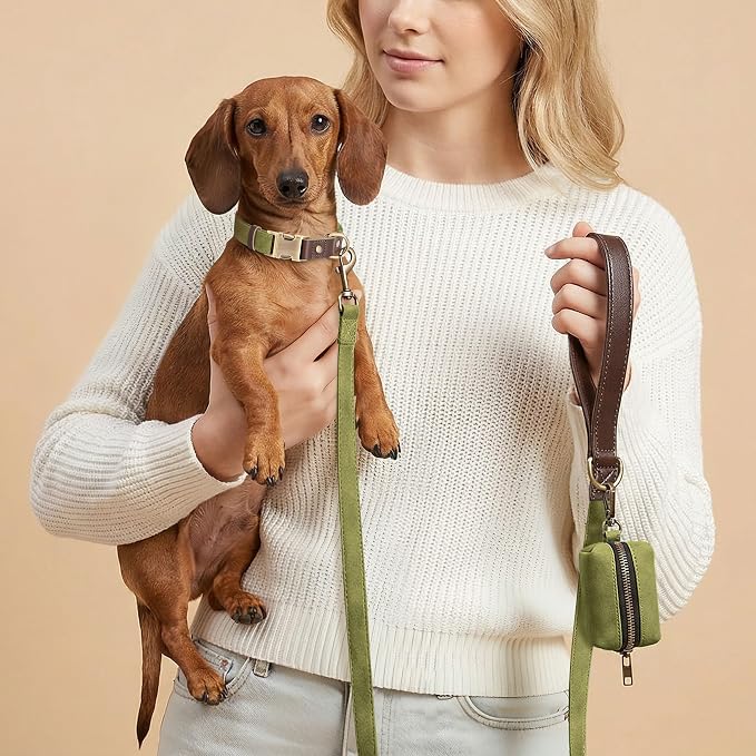 Didog Soft PU Leather Dog Collars - Image 4